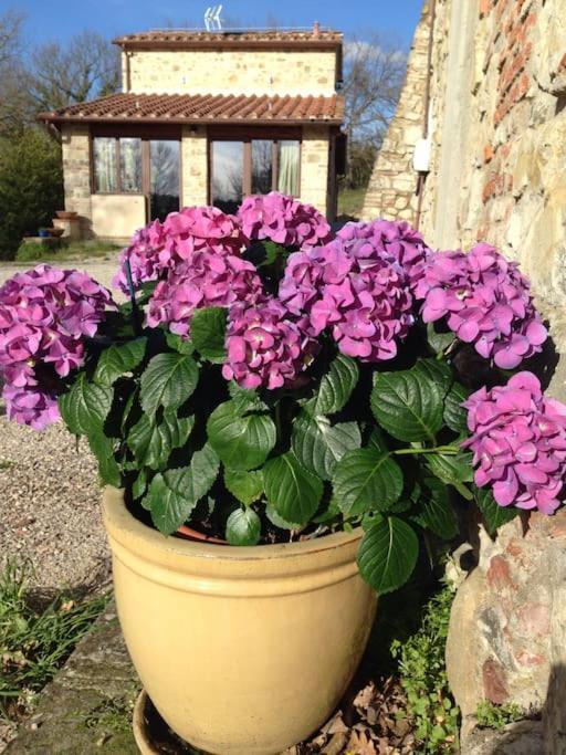 Capannuccia Faetole Typical Tuscan Country House Near Florence מראה חיצוני תמונה