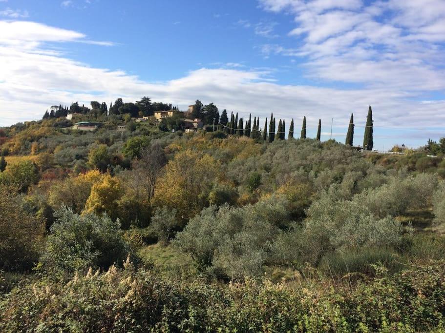 Capannuccia Faetole Typical Tuscan Country House Near Florence מראה חיצוני תמונה